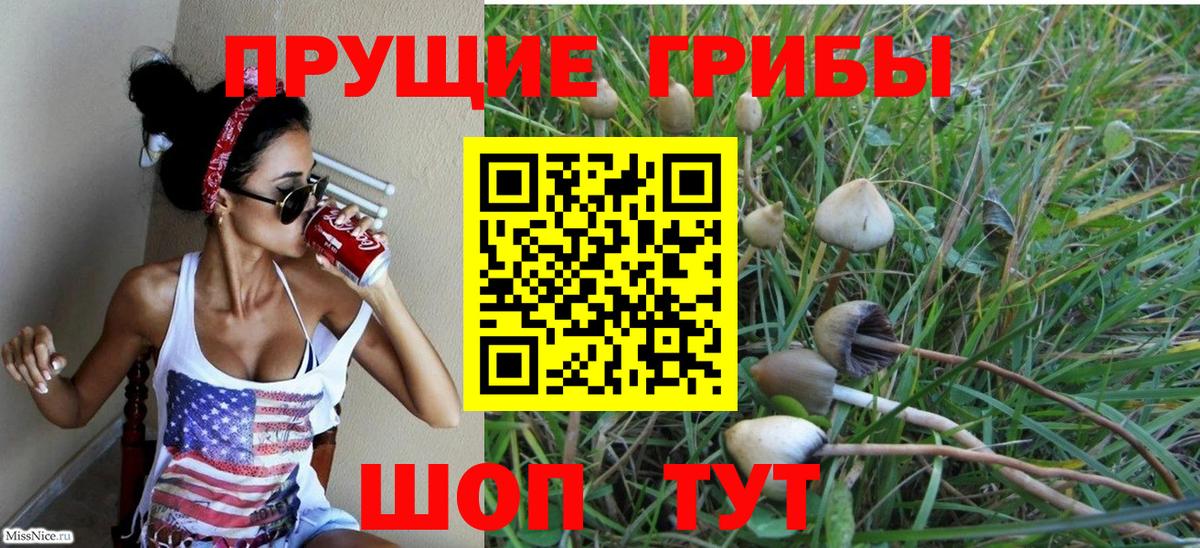 Галлюциногенные грибы Psilocybe  Псилоцибиновые грибы ЛСД  Рязань  Вход с VPN 
