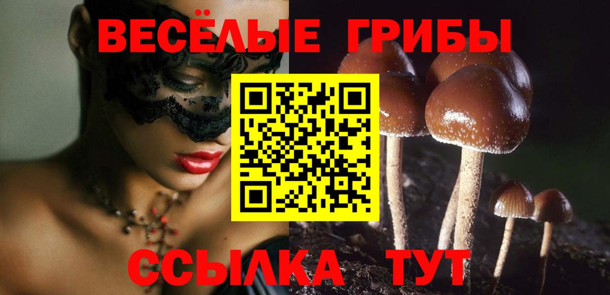 Галлюциногенные грибы Psilocybine cubensis Рязань